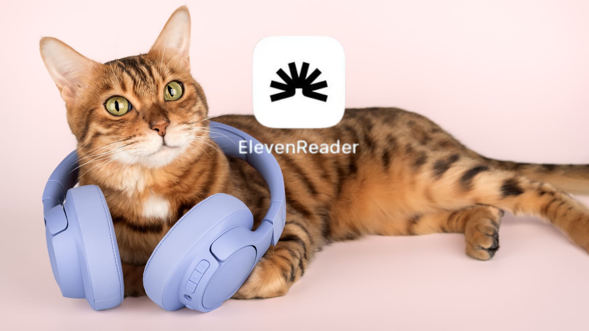 ElevenReader: il lettore vocale AI che trasforma i testi in podcast